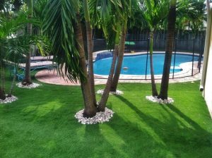Artificial Grass Installation Company, Tree Well Surfacing Contractor Spring Valley NV