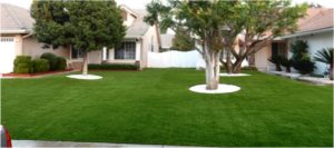 Artificial Grass Maintenance Contractor, Synthetic Lawn Cleaning and Maintenance Spring Valley NV