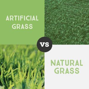 Artificial Grass vs Natural Grass, Artificial Turf Advantages Spring Valley NV