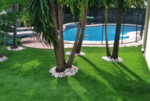 Choose Artificial Grass In Spring Valley NV